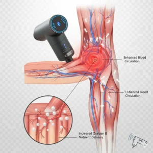 Anatomical diagram demonstrating how deep tissue massage enhances blood circulation and oxygen delivery to leg muscles.